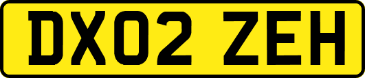 DX02ZEH