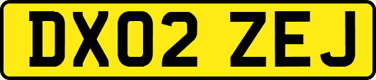 DX02ZEJ