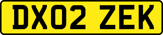 DX02ZEK