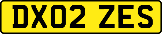 DX02ZES
