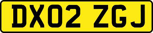 DX02ZGJ