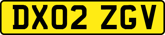 DX02ZGV