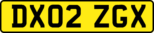 DX02ZGX