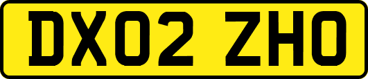 DX02ZHO