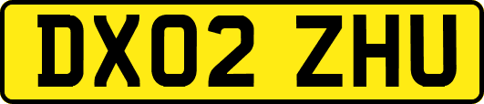 DX02ZHU