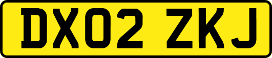DX02ZKJ