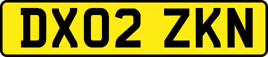 DX02ZKN