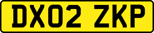 DX02ZKP