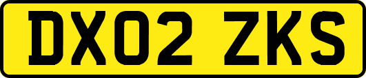 DX02ZKS