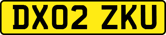 DX02ZKU