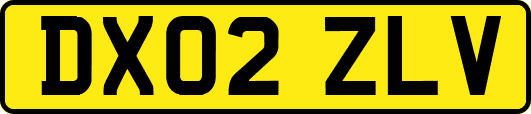 DX02ZLV