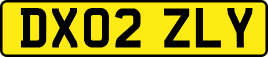 DX02ZLY