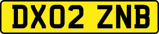 DX02ZNB