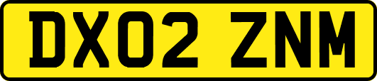 DX02ZNM
