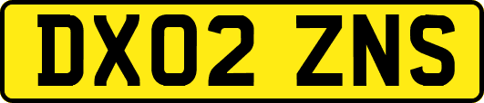 DX02ZNS