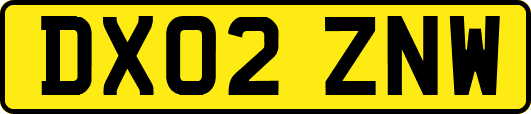 DX02ZNW