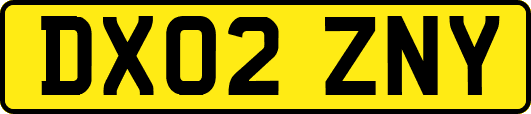 DX02ZNY