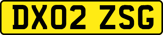 DX02ZSG