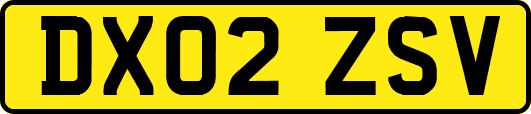 DX02ZSV