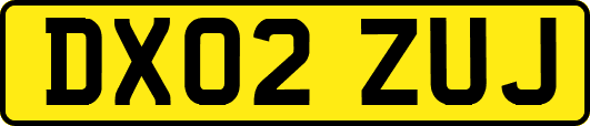 DX02ZUJ