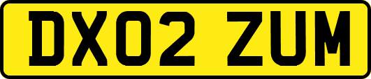 DX02ZUM