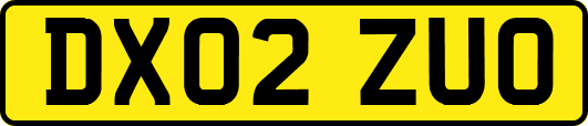 DX02ZUO