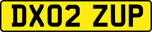 DX02ZUP