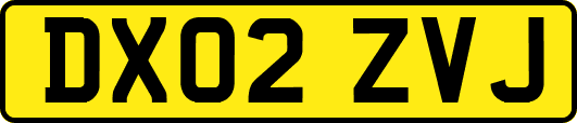 DX02ZVJ
