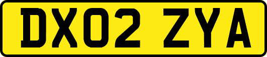 DX02ZYA
