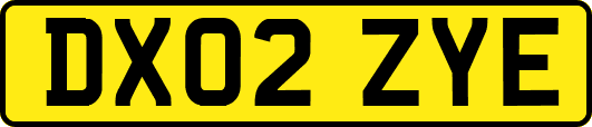 DX02ZYE