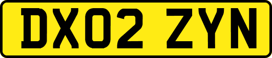 DX02ZYN