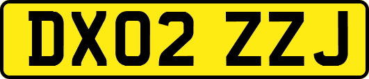DX02ZZJ