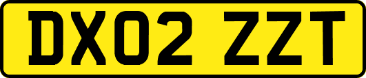DX02ZZT