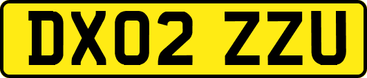 DX02ZZU