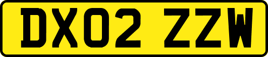 DX02ZZW