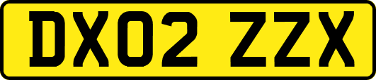 DX02ZZX