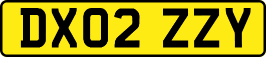 DX02ZZY