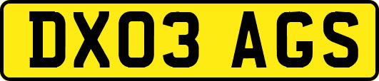 DX03AGS