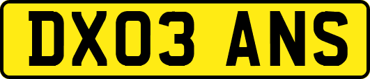 DX03ANS