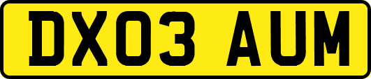 DX03AUM