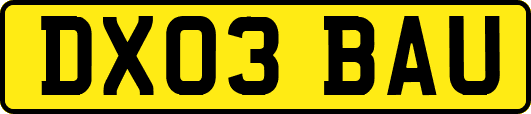 DX03BAU