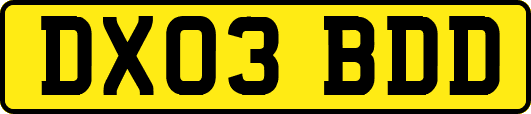 DX03BDD