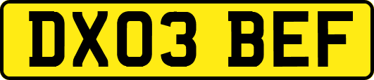 DX03BEF