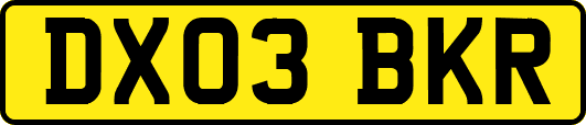 DX03BKR