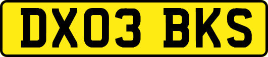 DX03BKS