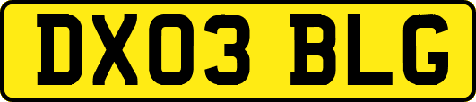 DX03BLG