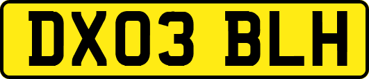 DX03BLH