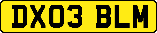 DX03BLM