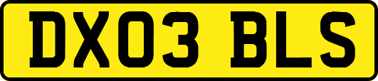DX03BLS