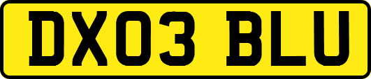 DX03BLU